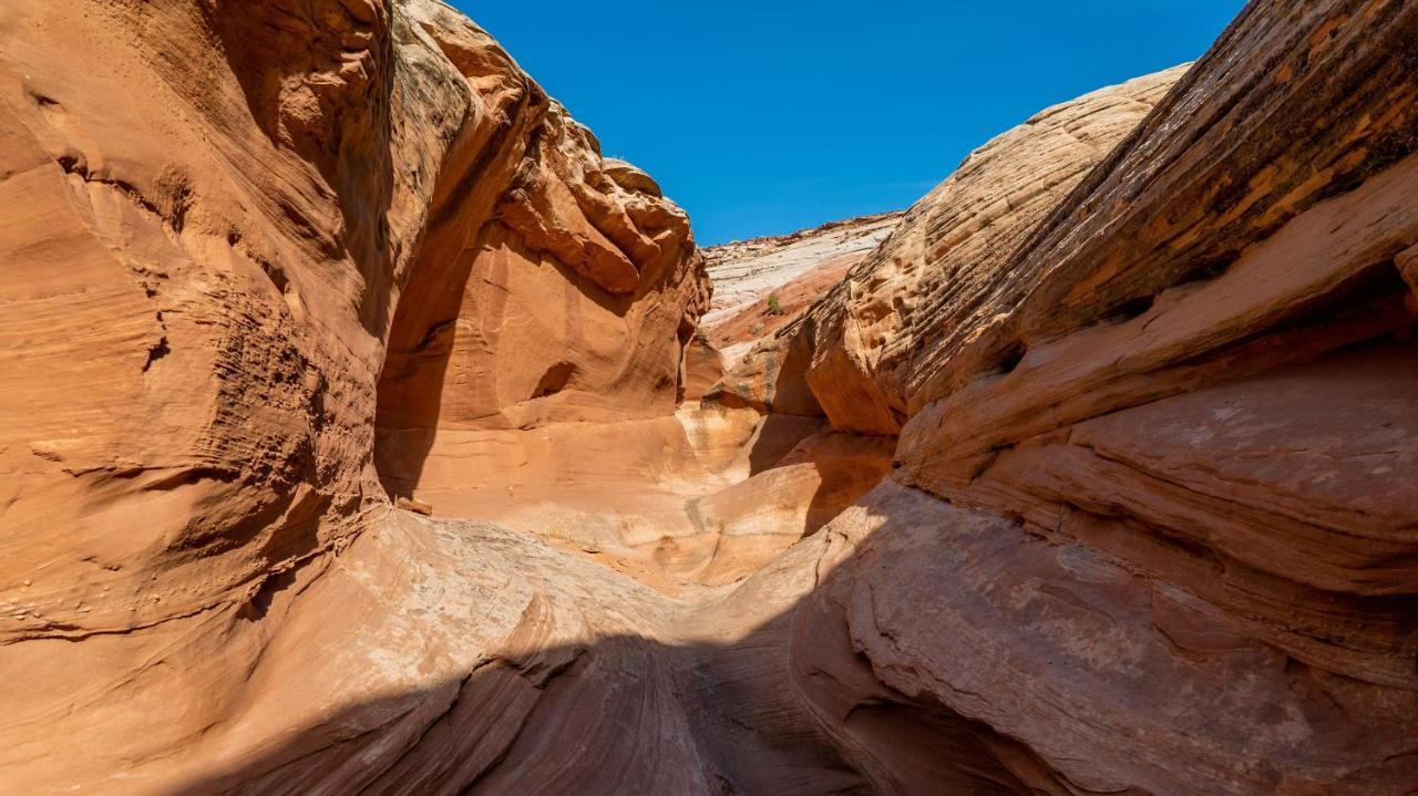 Under Canvas Lake Powell-Grand Staircase Big Water Eksteriør bilde